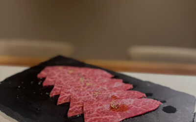 上赤身